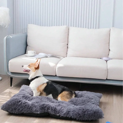 Large Dog Bed - 4petslovers