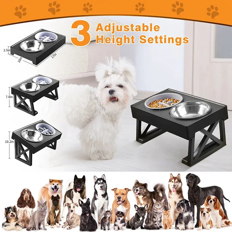 Dog Double Elevated Bowls - 4petslovers