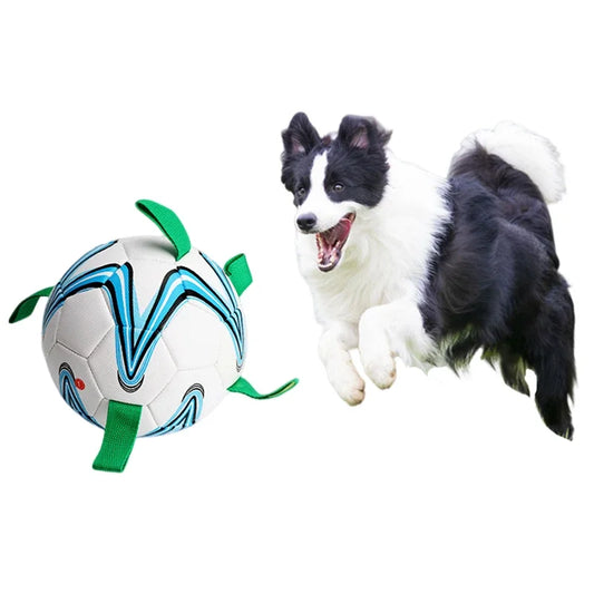 Interactive Dog Outdoor Toy Ball - 4petslovers
