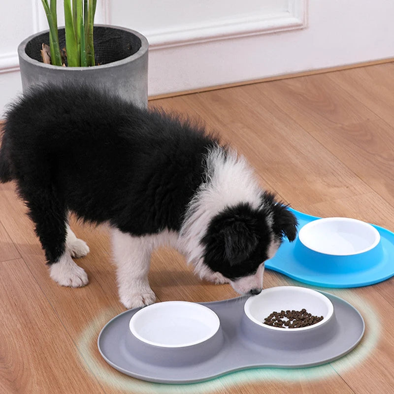 Anti-splash Double Food Bowls - 4petslovers