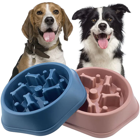 Slow Feeder Bowl - 4petslovers