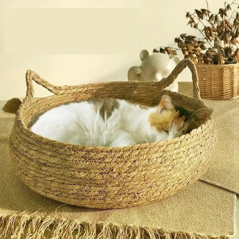 Cat bed basket with pillow - 4petslovers