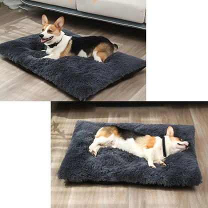 Large Dog Bed - 4petslovers