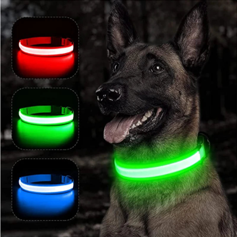 LED Dog Collar - 4petslovers