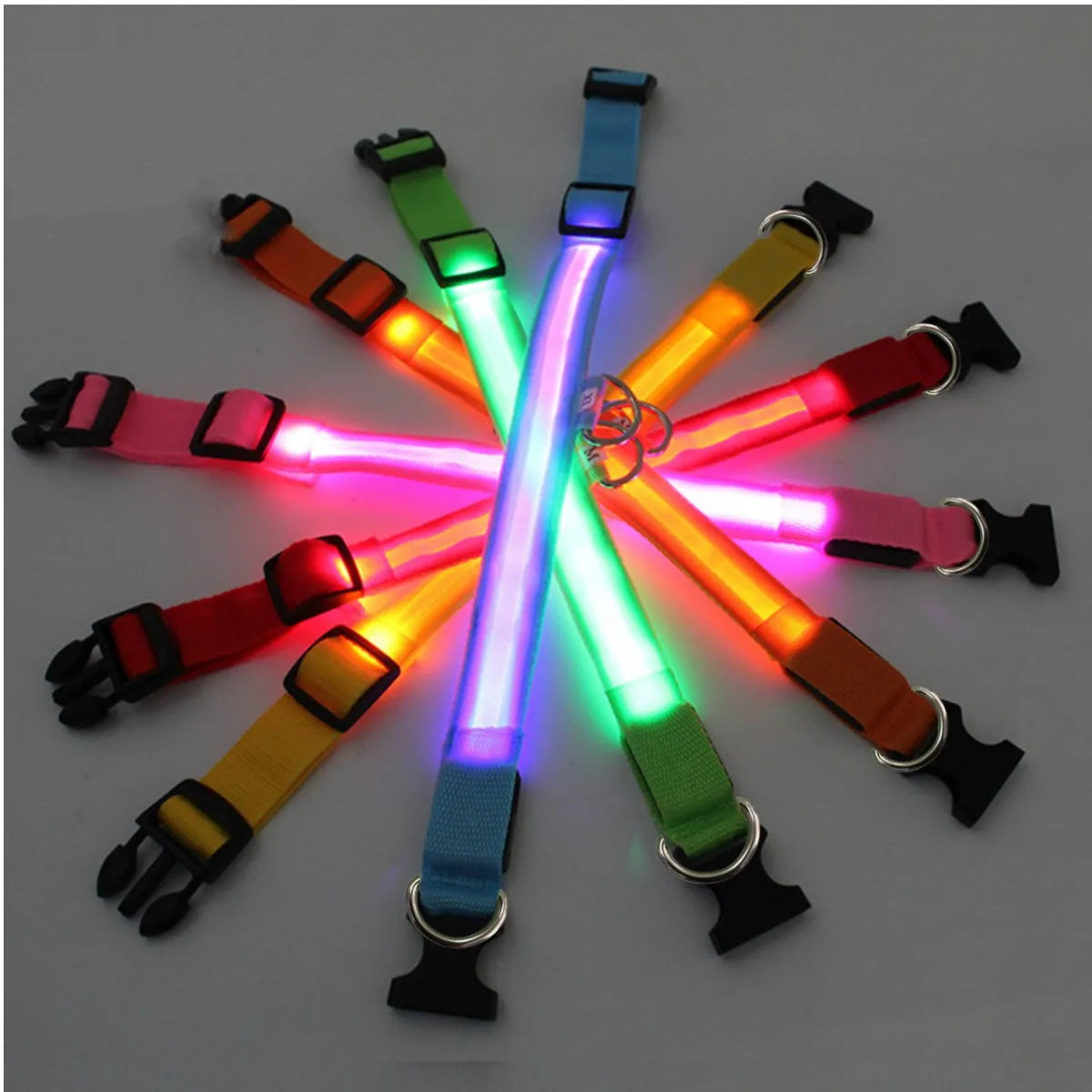 LED Dog Collar - 4petslovers