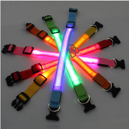 LED Dog Collar - 4petslovers