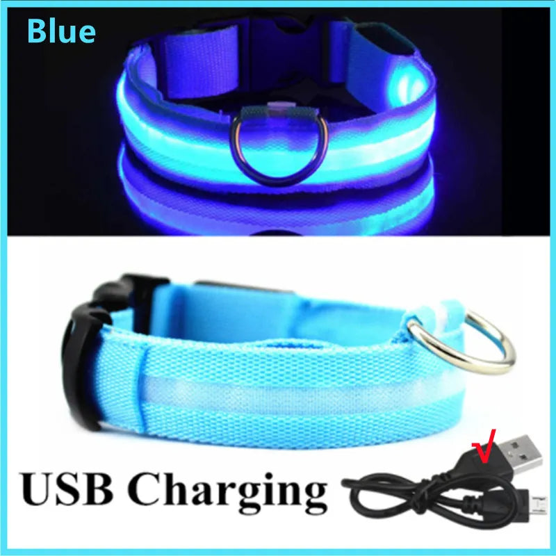 LED Dog Collar - 4petslovers