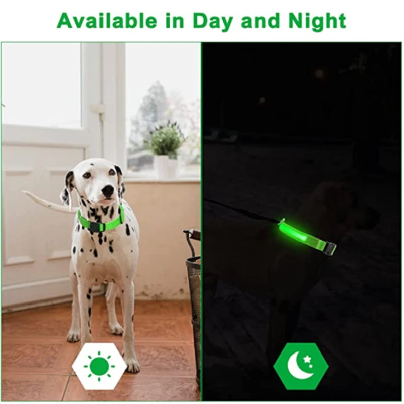 LED Dog Collar - 4petslovers