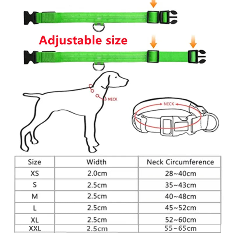 LED Dog Collar - 4petslovers