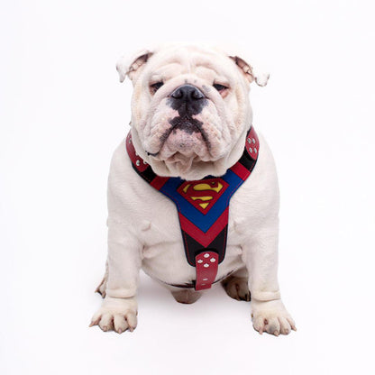 ''Superman'' harness Medium Size-2