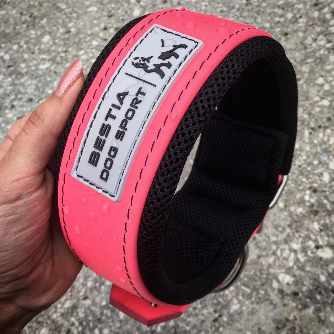 BESTIA DOG SPORT COLLAR NEON PINK-2