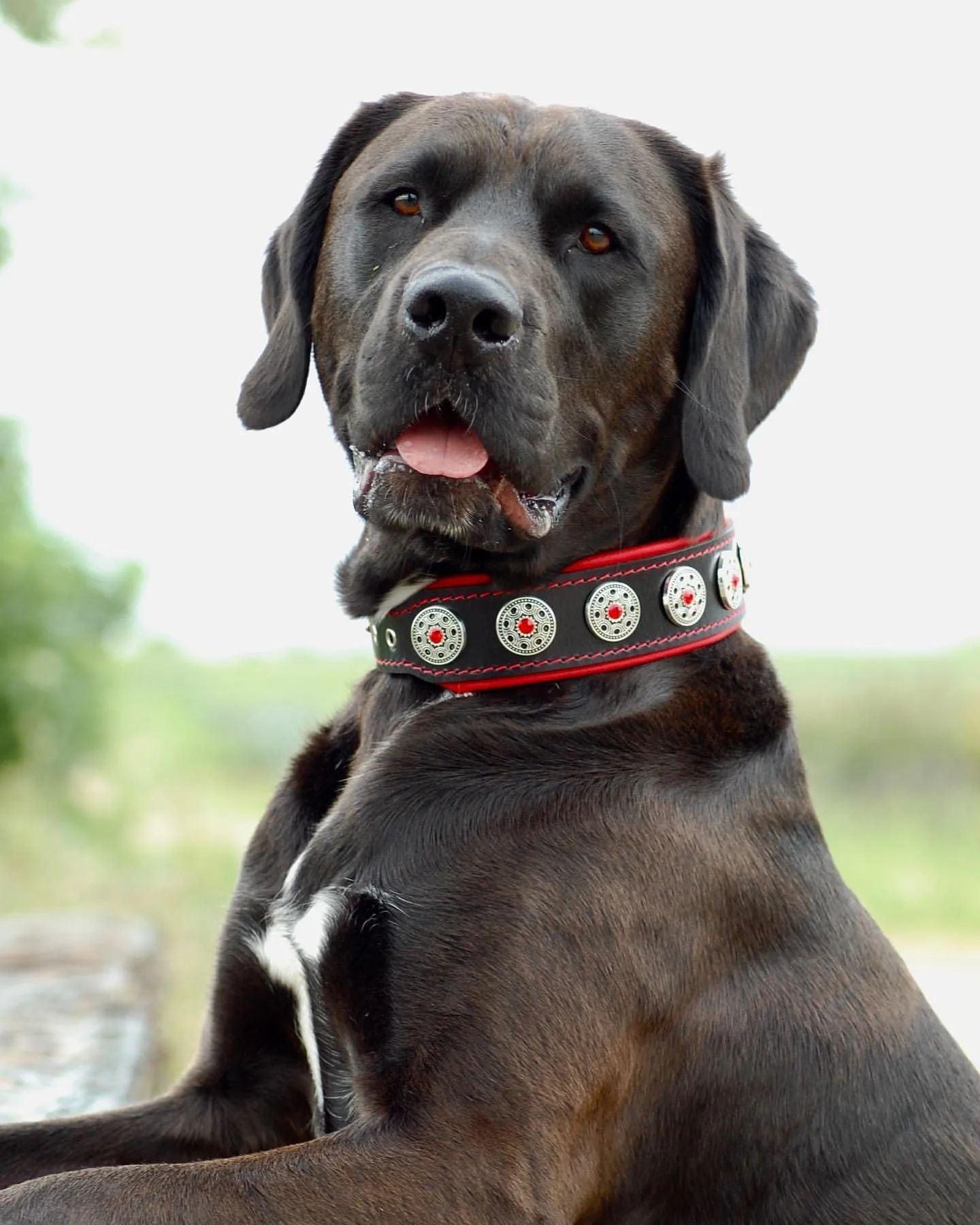 "Bijou" collar black & red-1