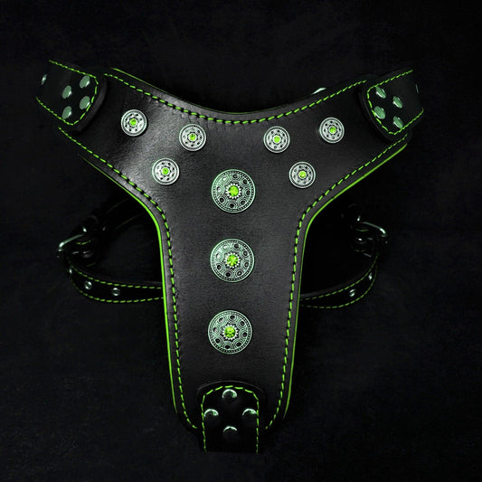 ''Bijou'' harness Black & Green for big dogs-0