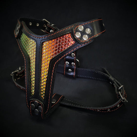 The ''D`Albertis'' harness Medium Size-0