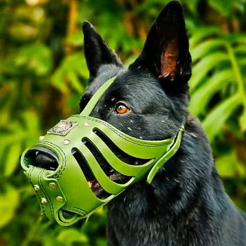 ''Eros'' Basket Muzzle GREEN-1