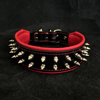 "Frenchie" collar-1