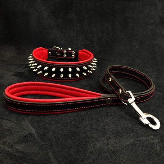 "Frenchie" Set- collar & leash. Red-0