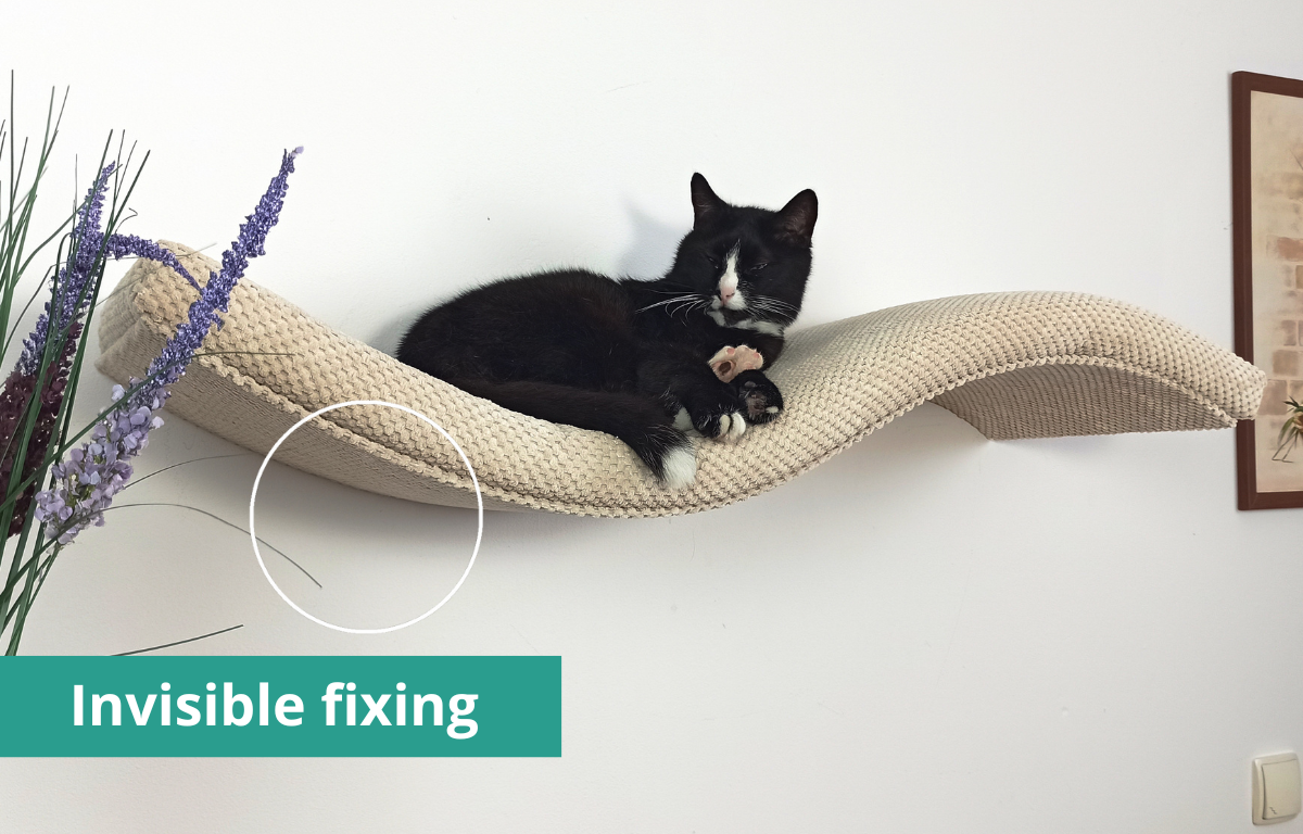 Cat Shelf – The Playful Curve Right