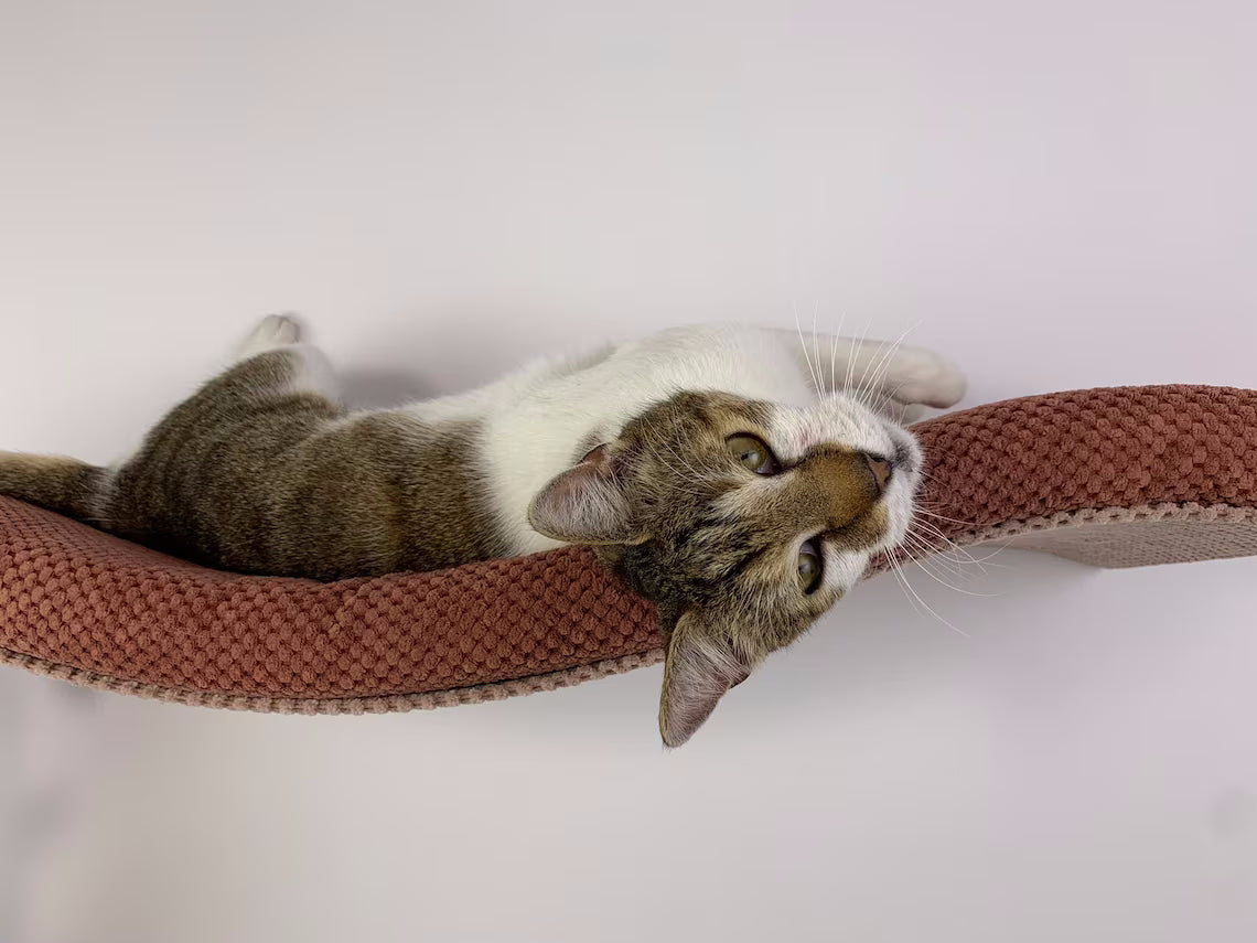 Cat Wall Shelf – Playful Curve Left 100 cm SH-M-W100UL-17