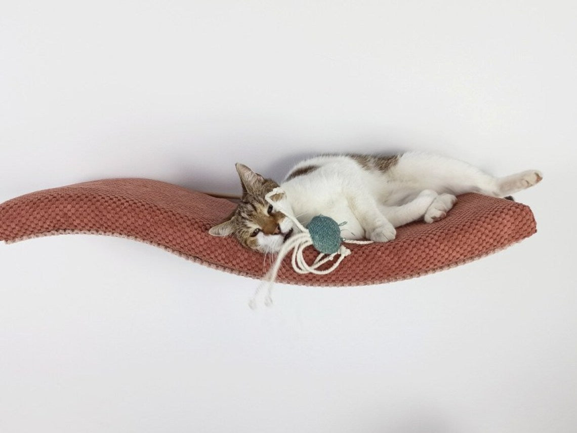 Cat Shelf – The Playful Curve Right