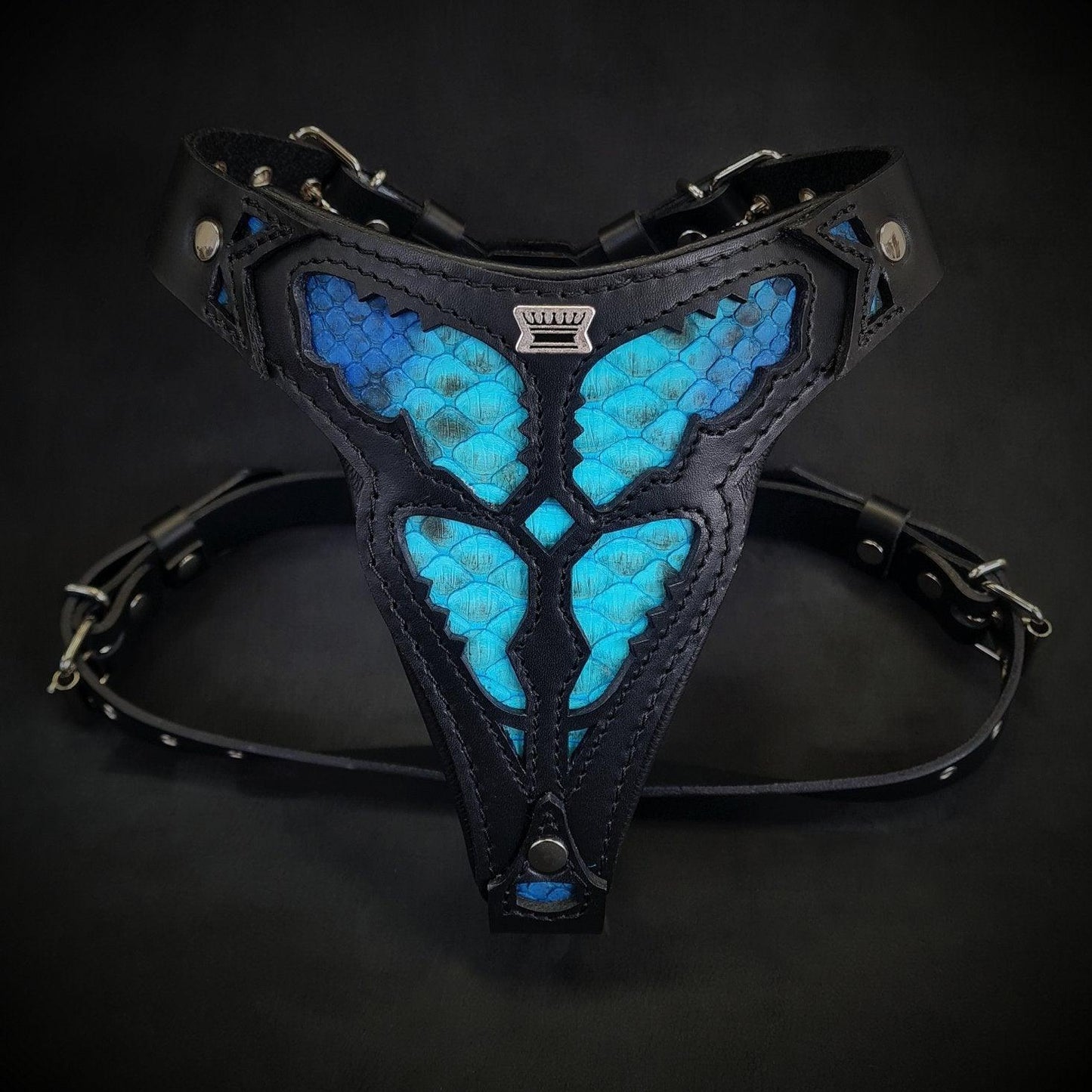 The ''Morelia Python'' harness Medium Size-0