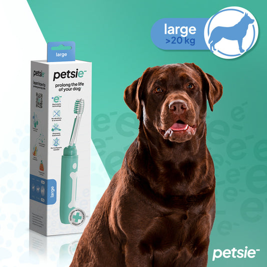 Petsie dog toothbrush (size L - 20+ kg)-0