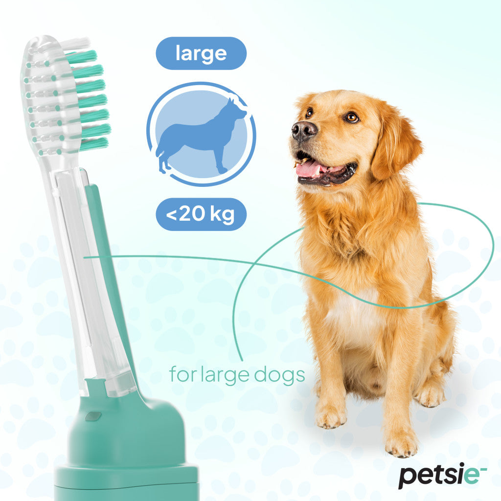 Petsie dog toothbrush (size L - 20+ kg)-2