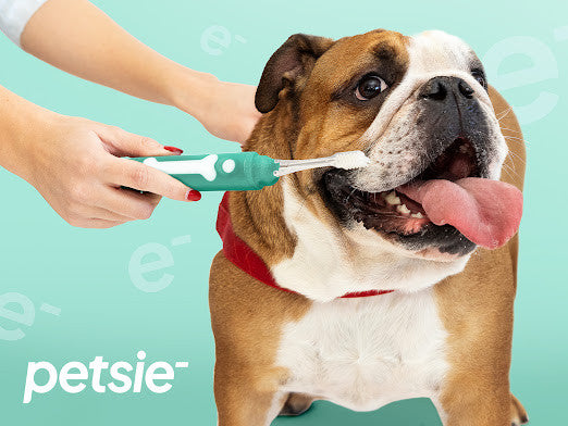 Petsie dog toothbrush (size L - 20+ kg)-7