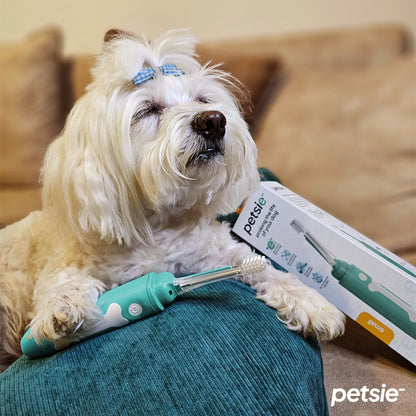 Petsie dog toothbrush (size S - up to 10kg)-4