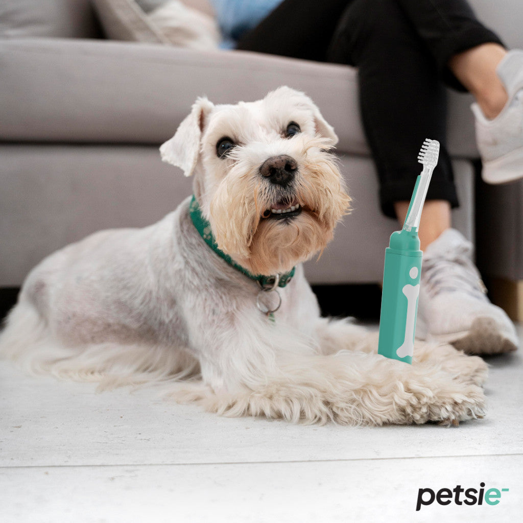 Petsie dog toothbrush (size S - up to 10kg)-5