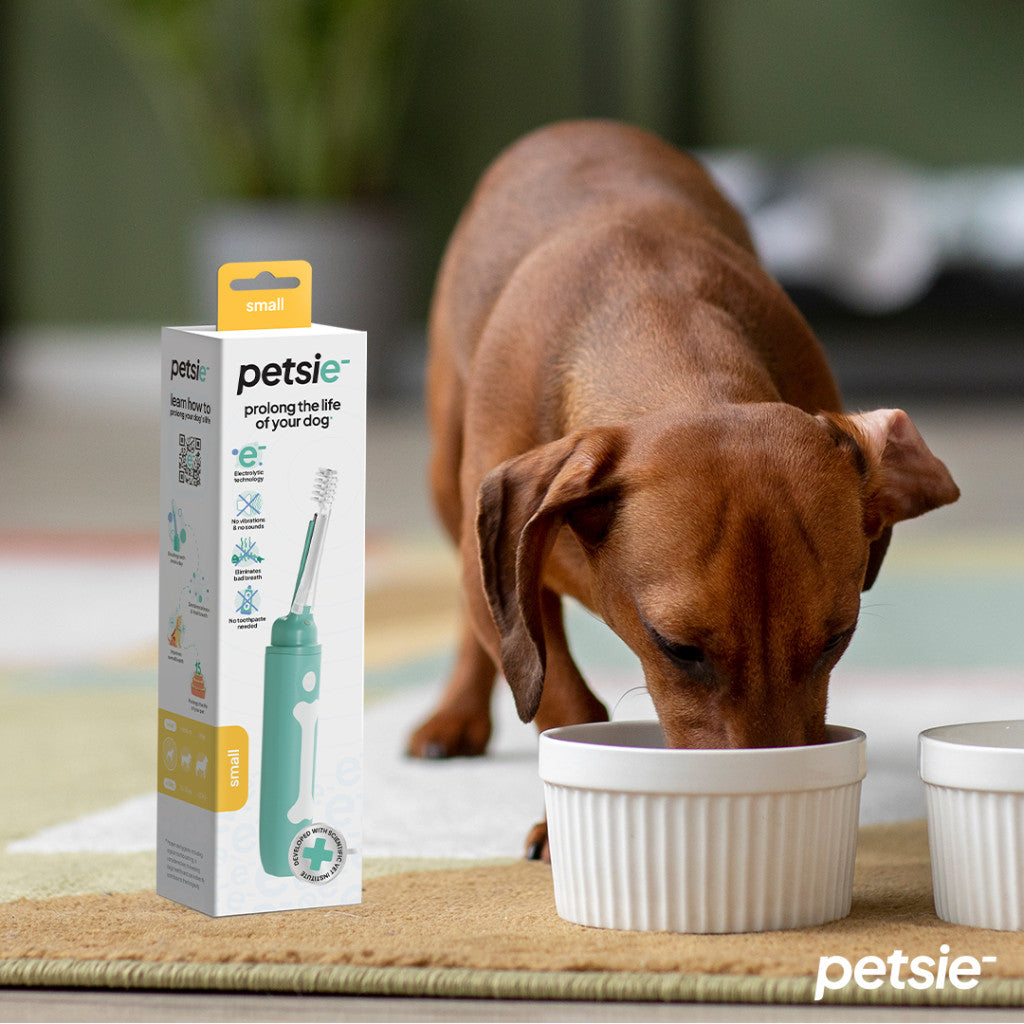 Petsie dog toothbrush (size S - up to 10kg)-7