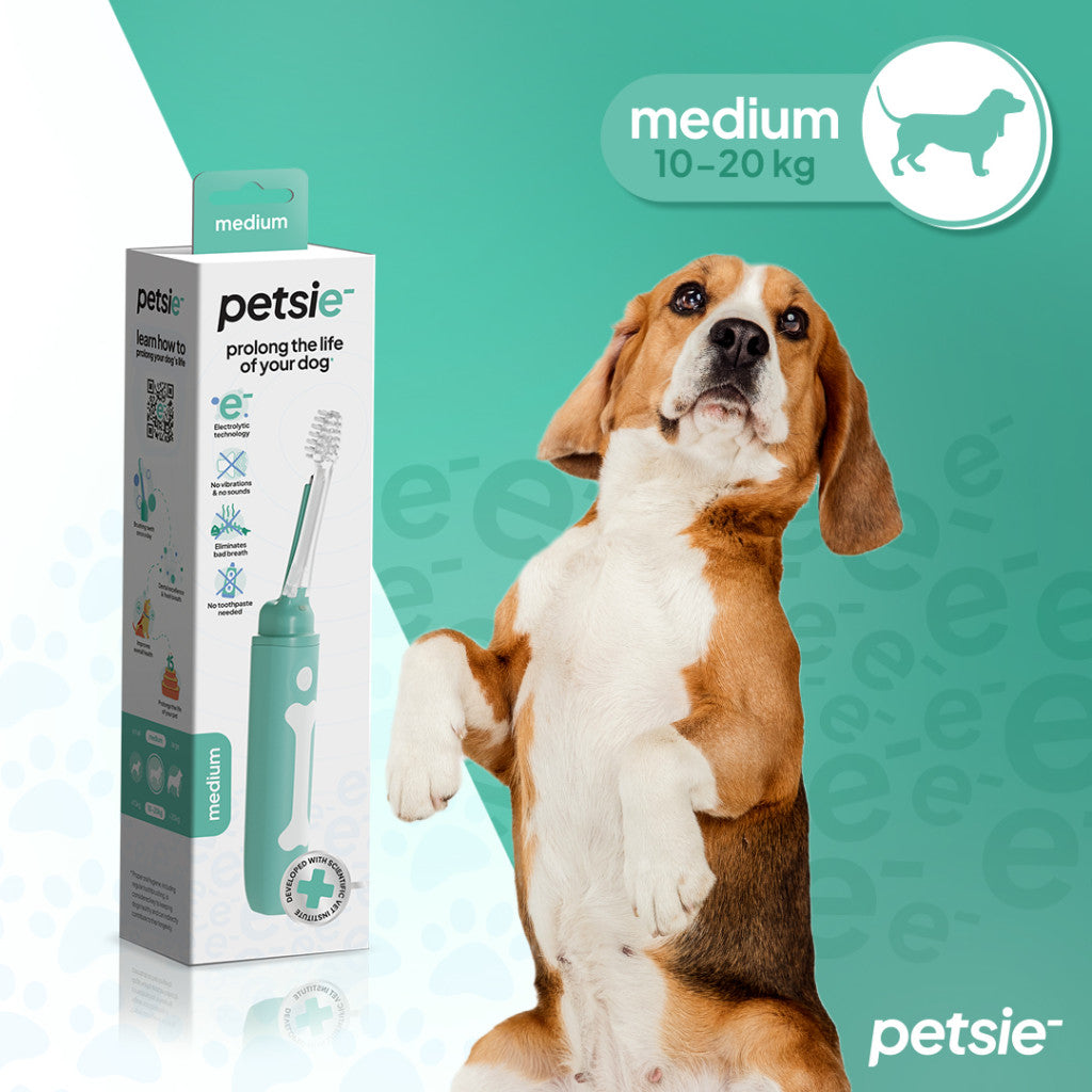 Petsie dog toothbrush (size M - 10-20kg)-0