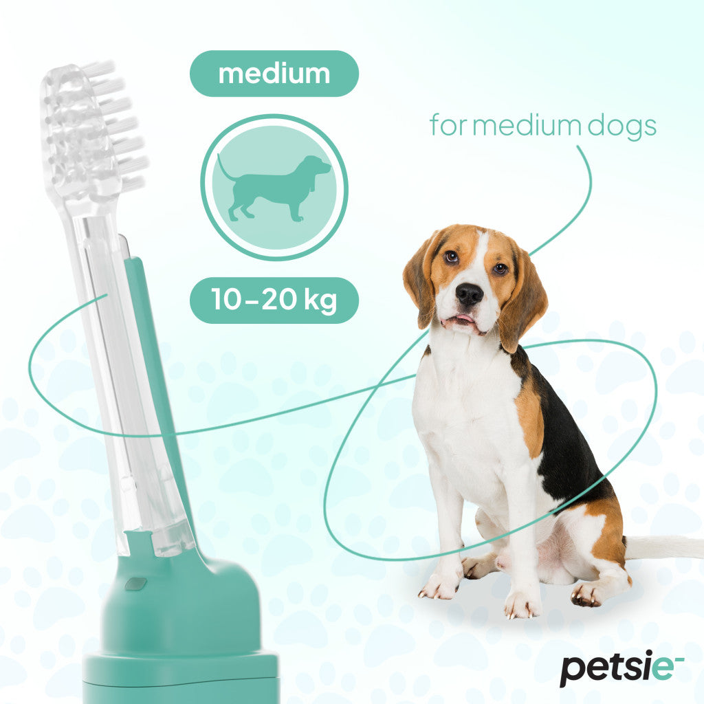 Petsie dog toothbrush (size M - 10-20kg)-2