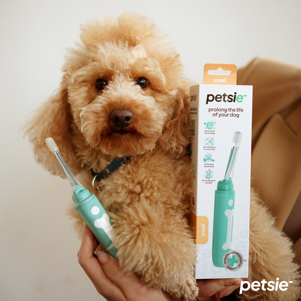 Petsie dog toothbrush (size M - 10-20kg)-4