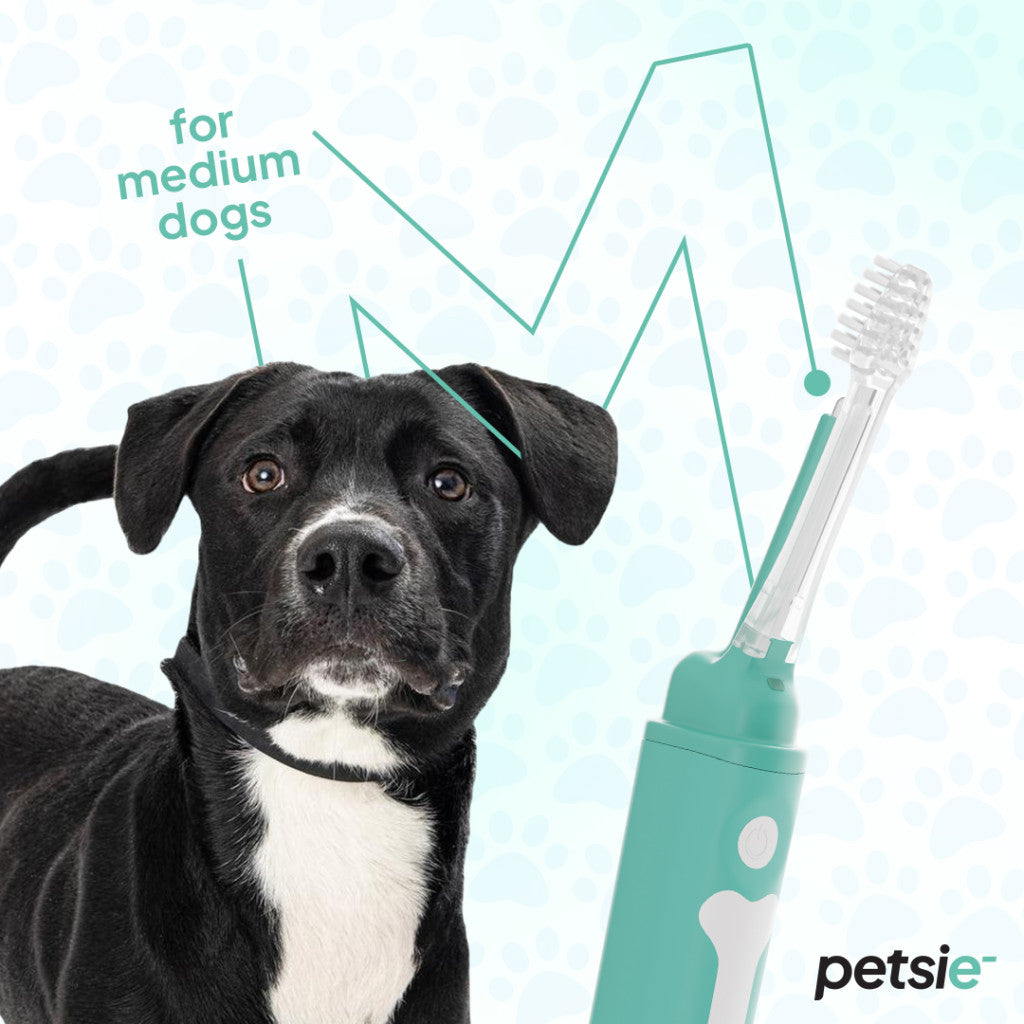 Petsie dog toothbrush (size M - 10-20kg)-7