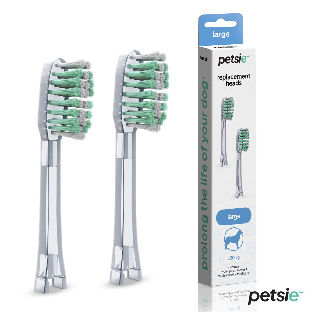 2 replacement heads for Petsie dog toothbrush (size L 20+kg)-0