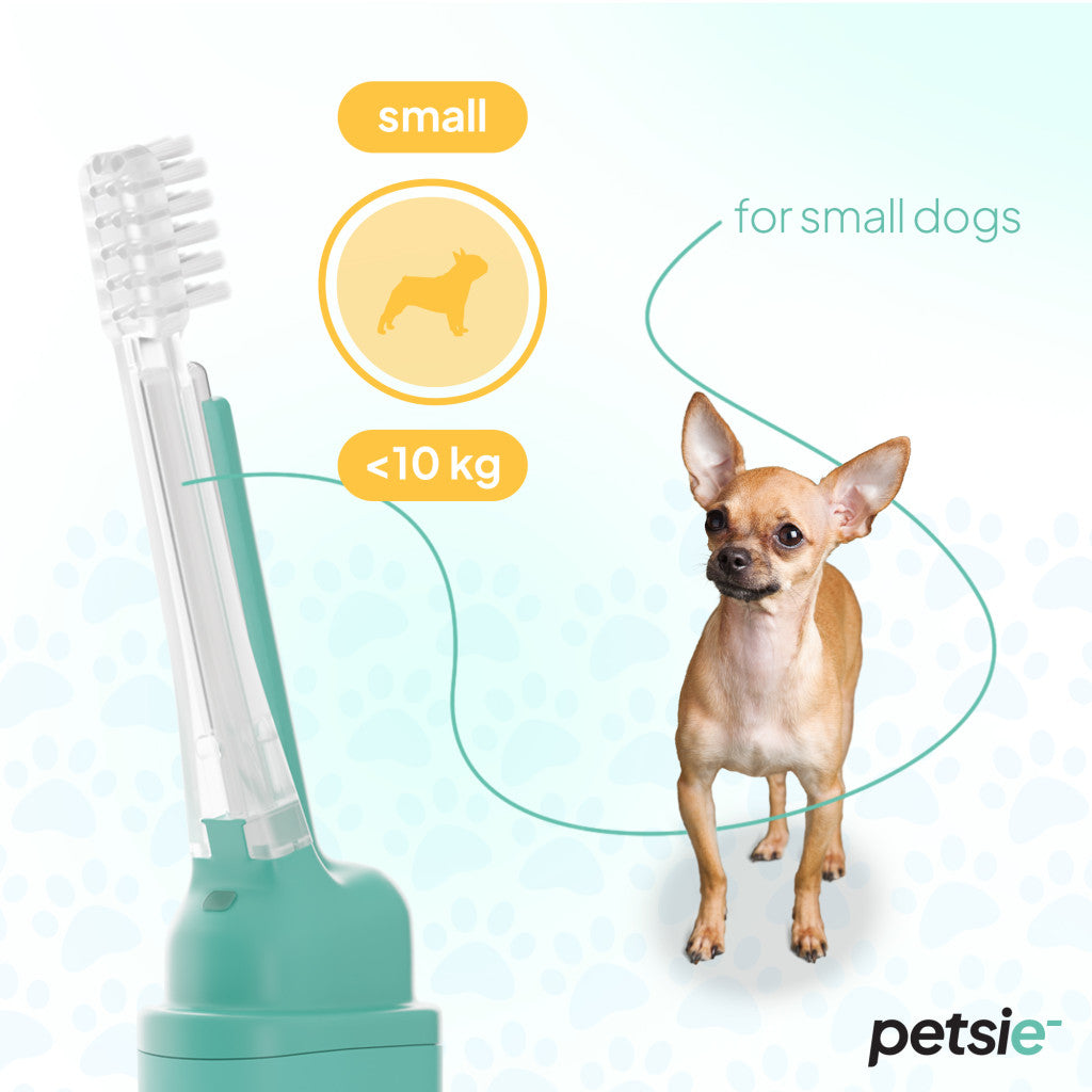 2 replacement heads for Petsie dog toothbrush (size S up to 10kg)-2