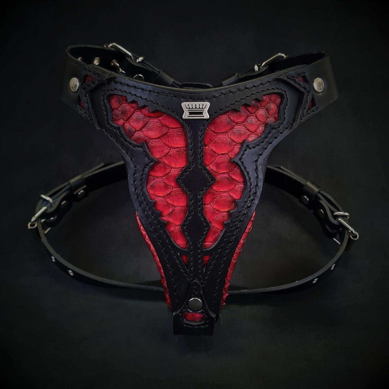 The ''Red Dragon'' harness Medium Size-0