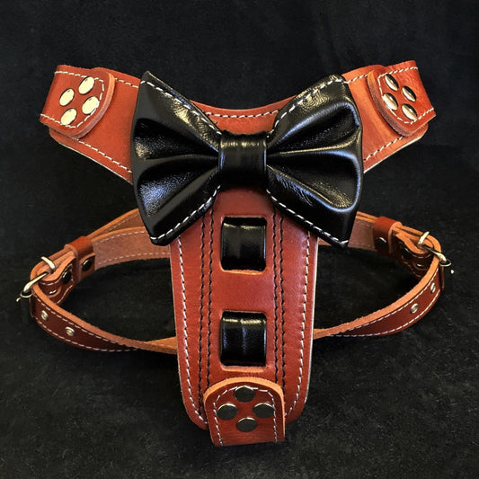 The "Bowtie" leather harness brown Small to Medium Size-0