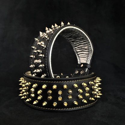 The "Crown" collar Black-0