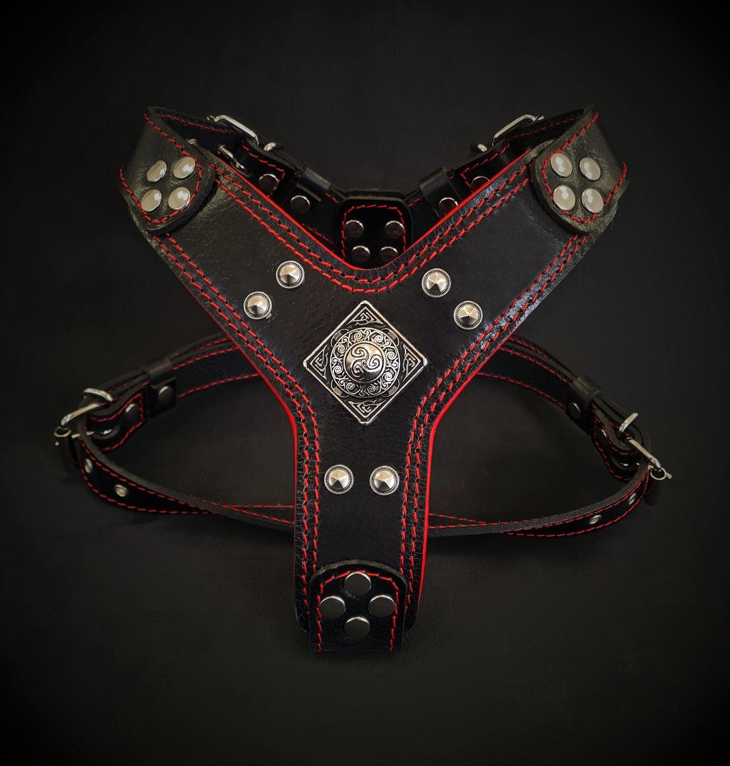 The ''Eros'' harness Black & Red Small to Medium Size-0