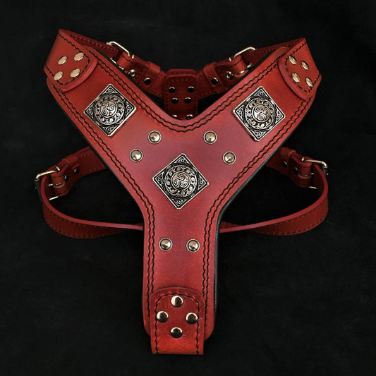 The "Eros" harness RED-0