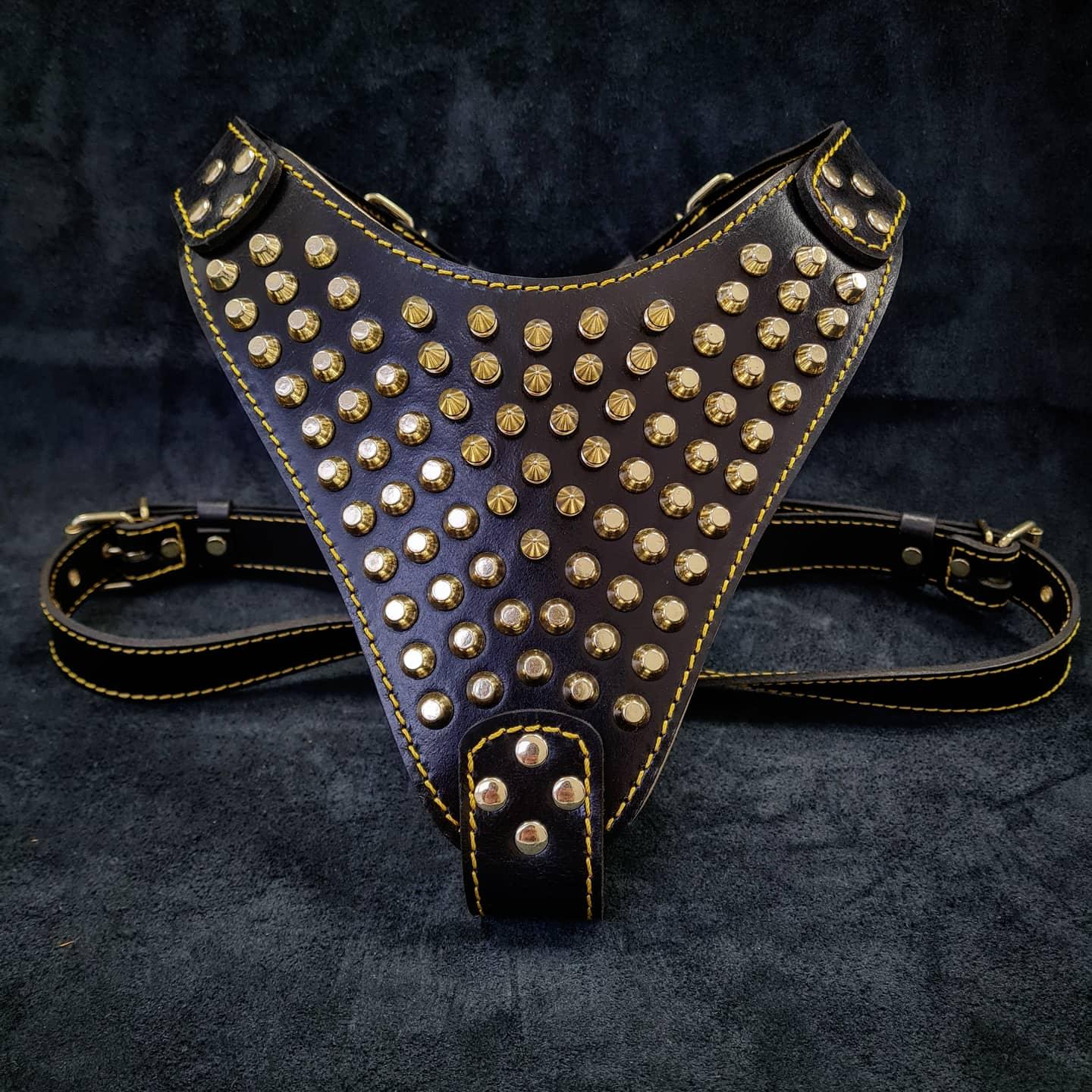 The "Gladiator" harness Gold/Silver-0