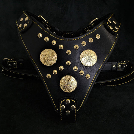 The "Maximus" harness black & gold-0