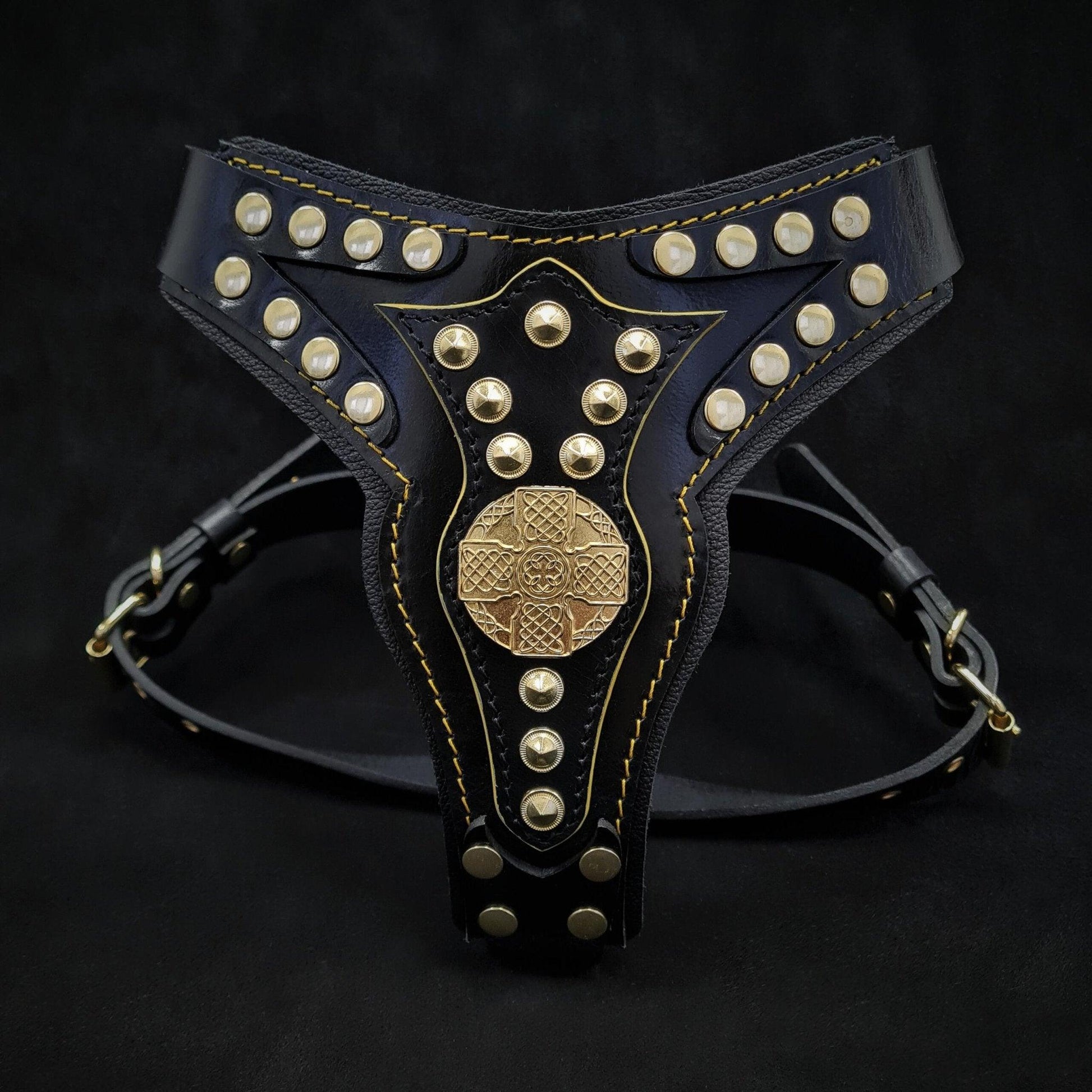 The ''Maximus'' harness V2 Medium Size-0