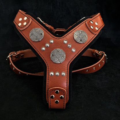 The "Maximus" silver harness-1