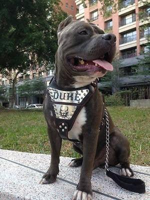 The "Metal" harness- Personalized!-3