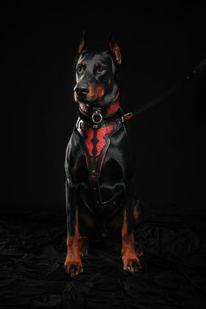 The ''Red Dragon'' collar-2