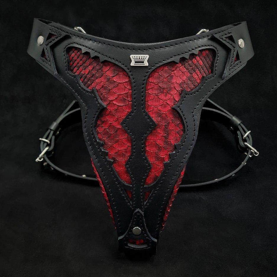 The ''Red Dragon'' harness-0