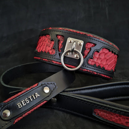 The ''Red Dragon'' leash-3